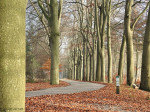 Deventerdijk